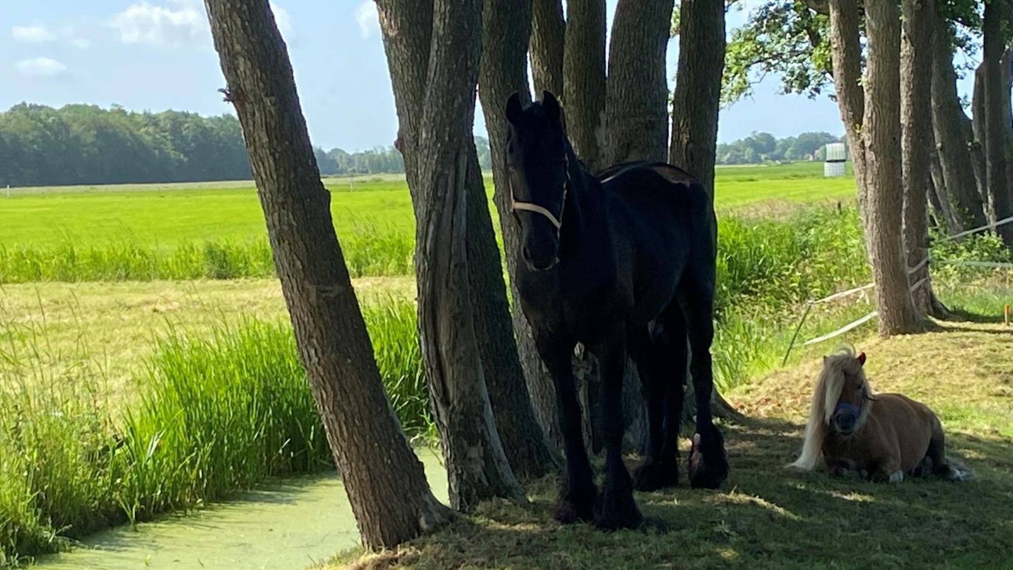 B&B Kuiper In Friesland Ureterp エクステリア 写真